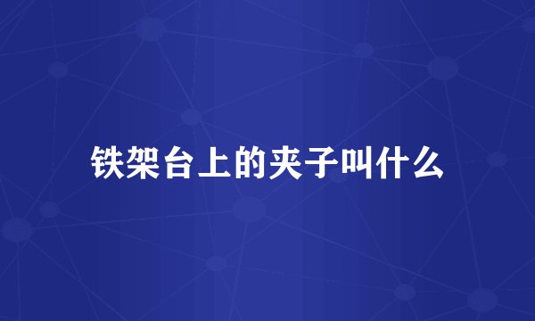 铁架台上的夹子叫什么
