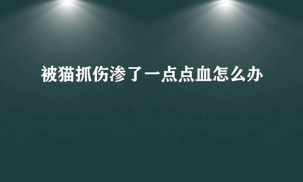 被猫抓伤渗了一点点血怎么办