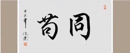 苟同，是什么意思？