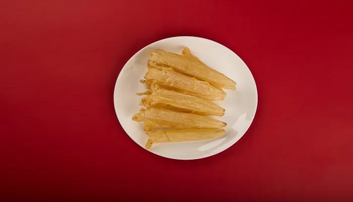 花胶是什么东西