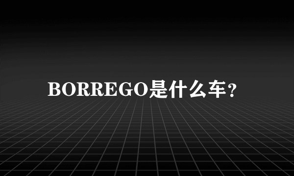 BORREGO是什么车?