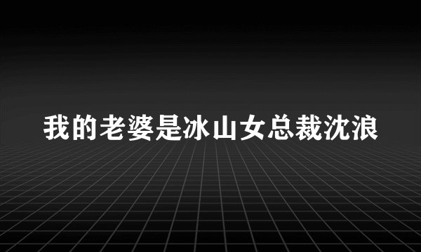 我的老婆是冰山女总裁沈浪