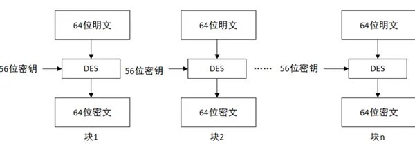 des是什么