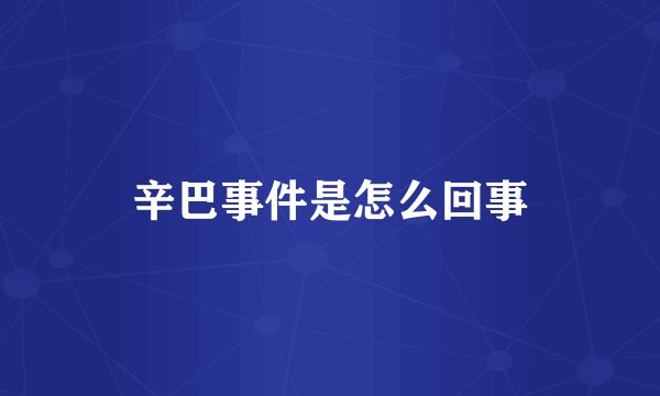 辛巴事件是怎么回事