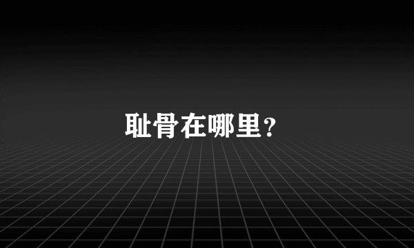 耻骨在哪里？