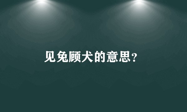见兔顾犬的意思？