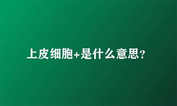 上皮细胞+是什么意思？