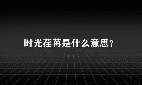 时光荏苒是什么意思？