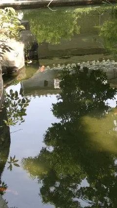 吴其轺的军旅生涯简介