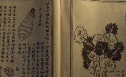 《李尸朝鲜》恐怖之处在哪里 尸毒是怎么传染到人体的