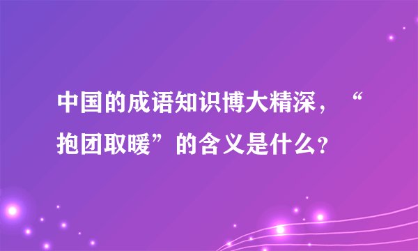 中国的成语知识博大精深，“抱团取暖”的含义是什么？