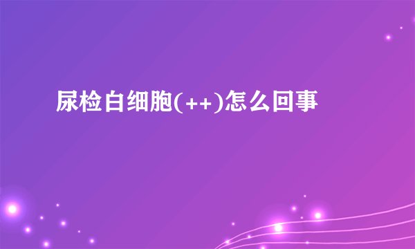 尿检白细胞(++)怎么回事