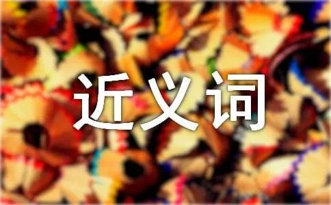 选择的近义词是什么