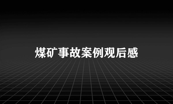 煤矿事故案例观后感