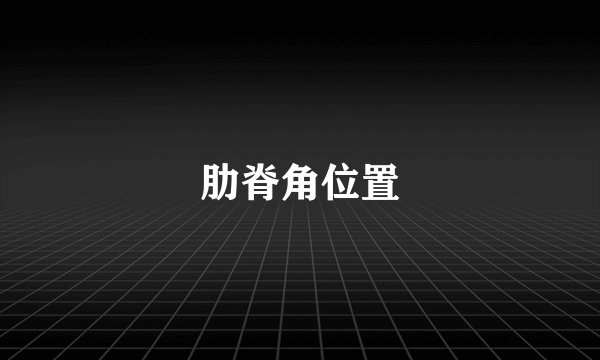 肋脊角位置