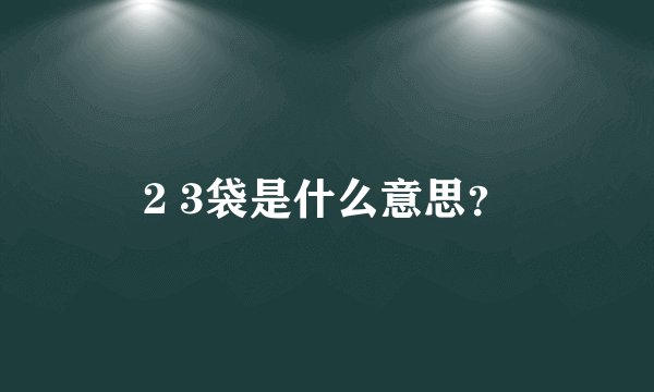 2 3袋是什么意思？