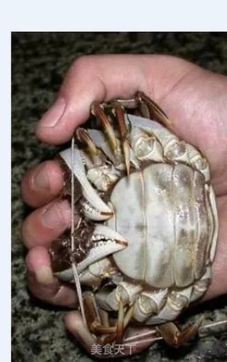 阳澄湖大闸蟹