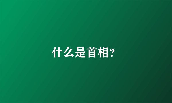 什么是首相？