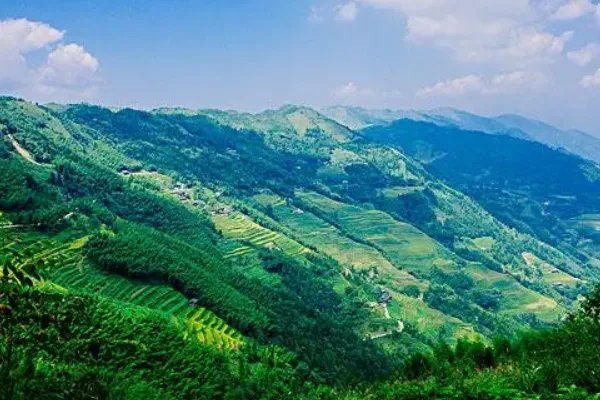 岭字的拼音