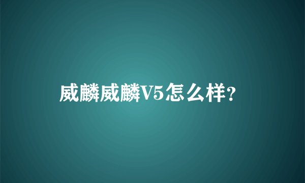 威麟威麟V5怎么样？