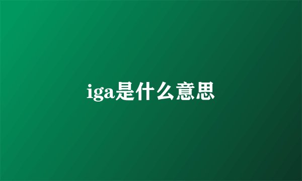 iga是什么意思