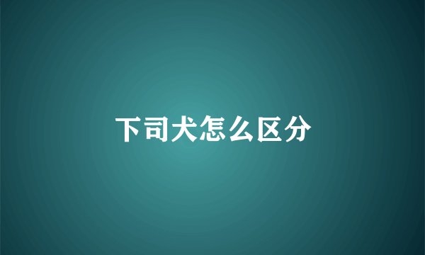 下司犬怎么区分
