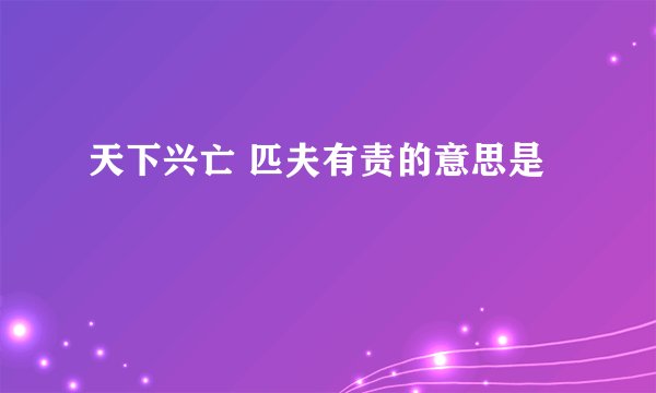 天下兴亡 匹夫有责的意思是