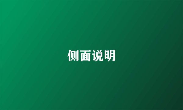 侧面说明