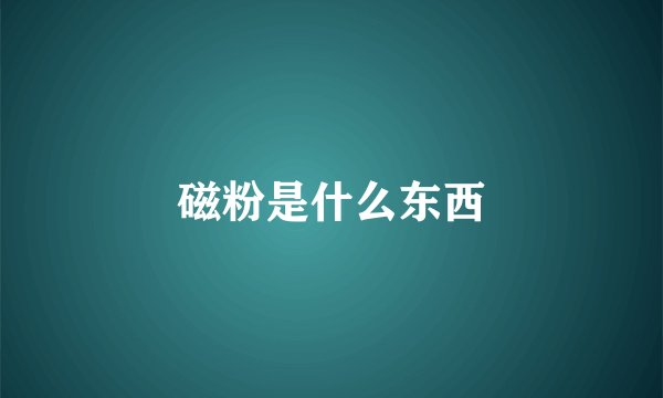 磁粉是什么东西