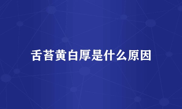 舌苔黄白厚是什么原因