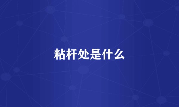 粘杆处是什么