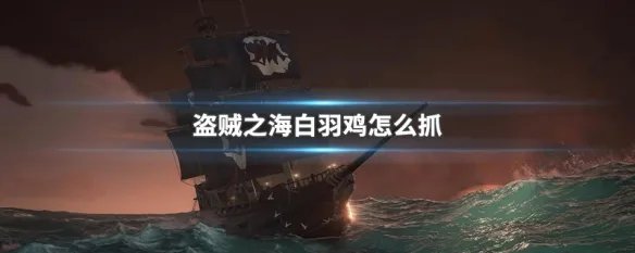 盗贼之海白羽鸡怎么抓