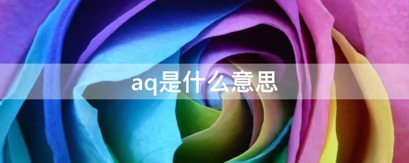 aq是什么意思
