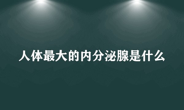 人体最大的内分泌腺是什么
