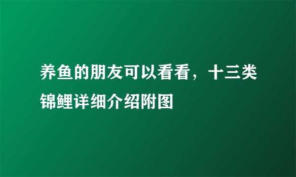 养鱼的朋友可以看看，十三类锦鲤详细介绍附图