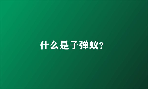 什么是子弹蚁？