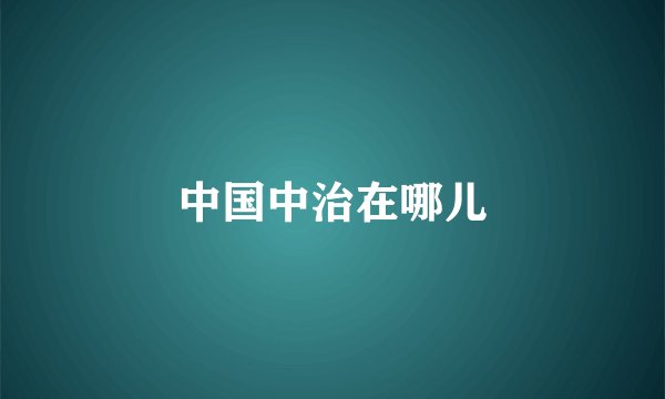 中国中治在哪儿