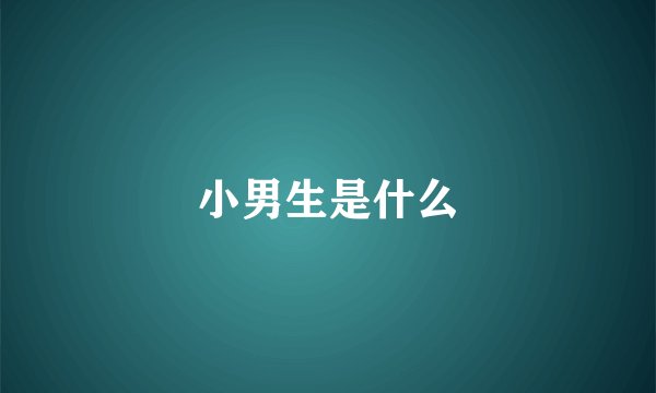 小男生是什么