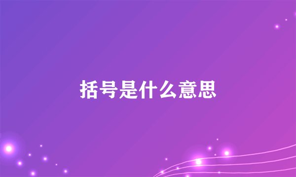 括号是什么意思