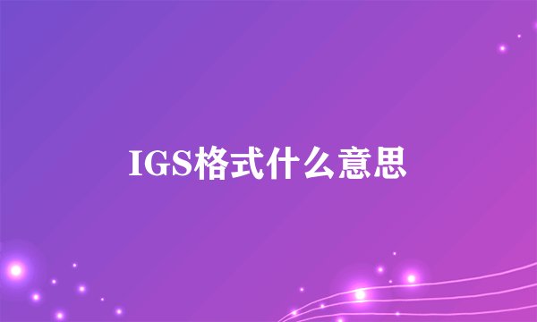 IGS格式什么意思