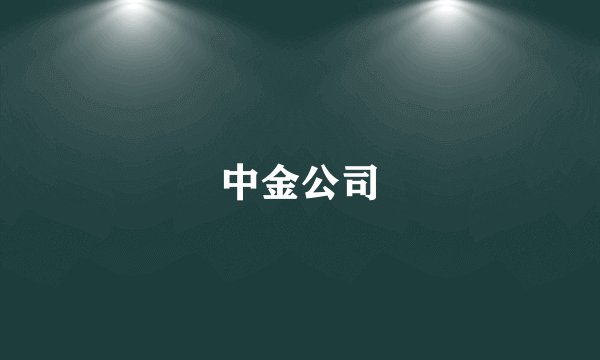 中金公司