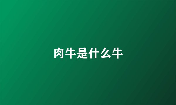 肉牛是什么牛