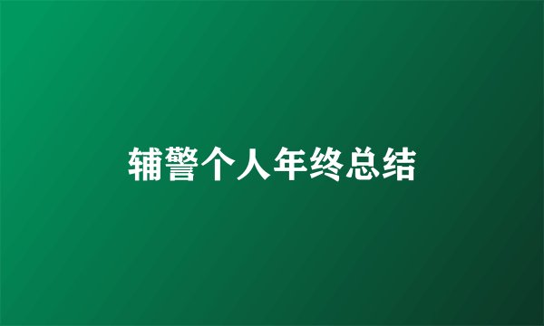 辅警个人年终总结
