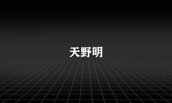 天野明