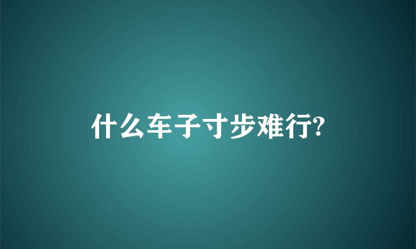 什么车子寸步难行?