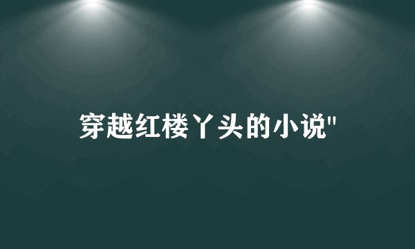 穿越红楼丫头的小说