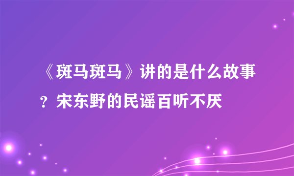 《斑马斑马》讲的是什么故事？宋东野的民谣百听不厌
