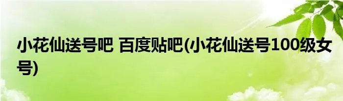 小花仙送号吧 百度贴吧(小花仙送号100级女号)