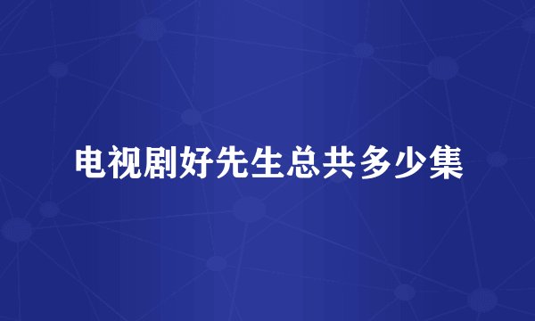 电视剧好先生总共多少集