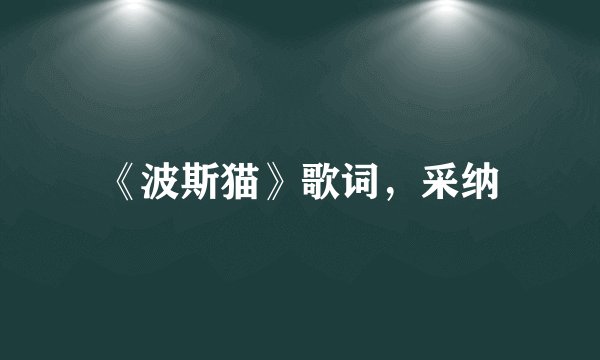 《波斯猫》歌词，采纳